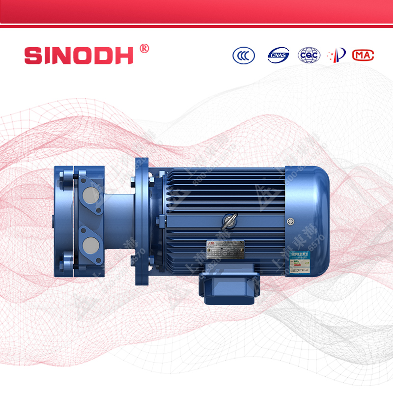 SKA型直联水环式真空乐玩在线(中国)