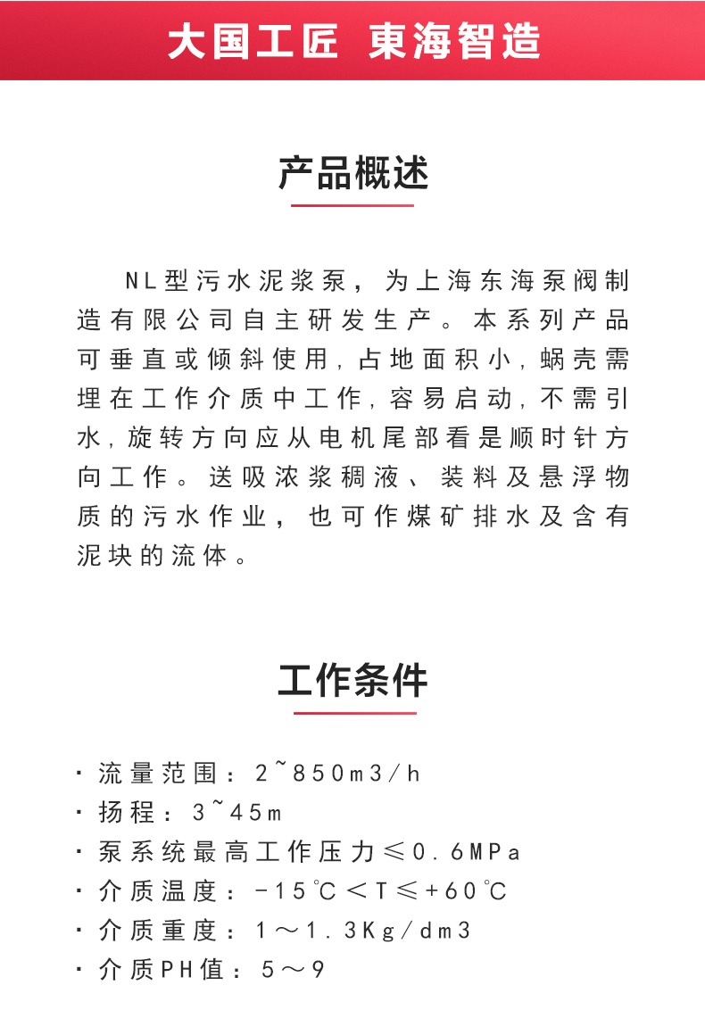 NL型污水泥浆乐玩在线(中国)_02.jpg