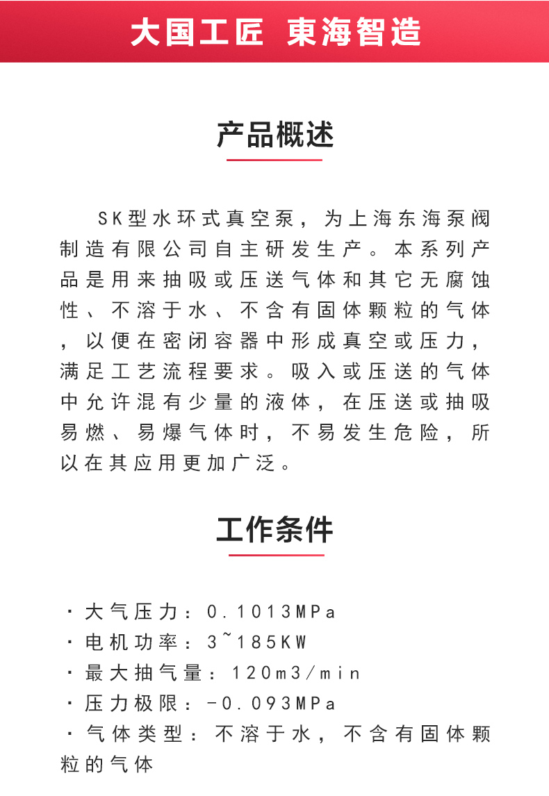 SK型水环式真空乐玩在线(中国)_02.jpg